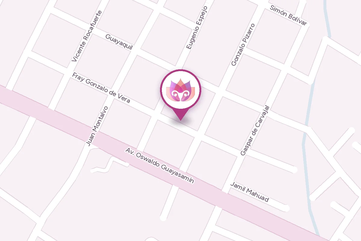 Mapa: Centro Médico Vallemed, Gonzalo de Vera y Gonzalo Pizarro, Tumbaco